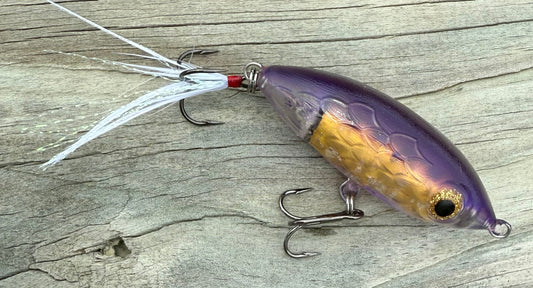 Pro Series BudderCup™ Lite In "The Pirate"